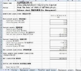 森迅香港公司会计做账财务报表模板（中英文）